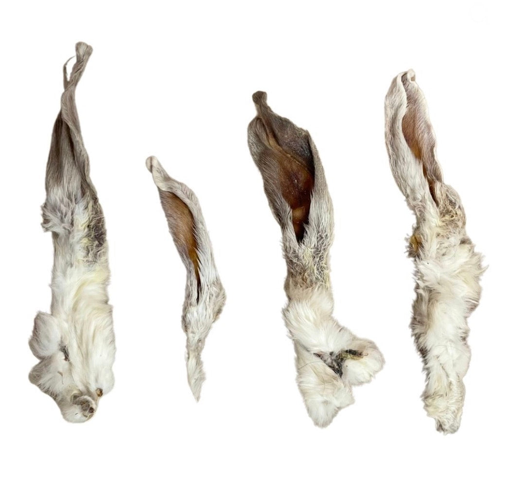 Hairy Rabbit Ear