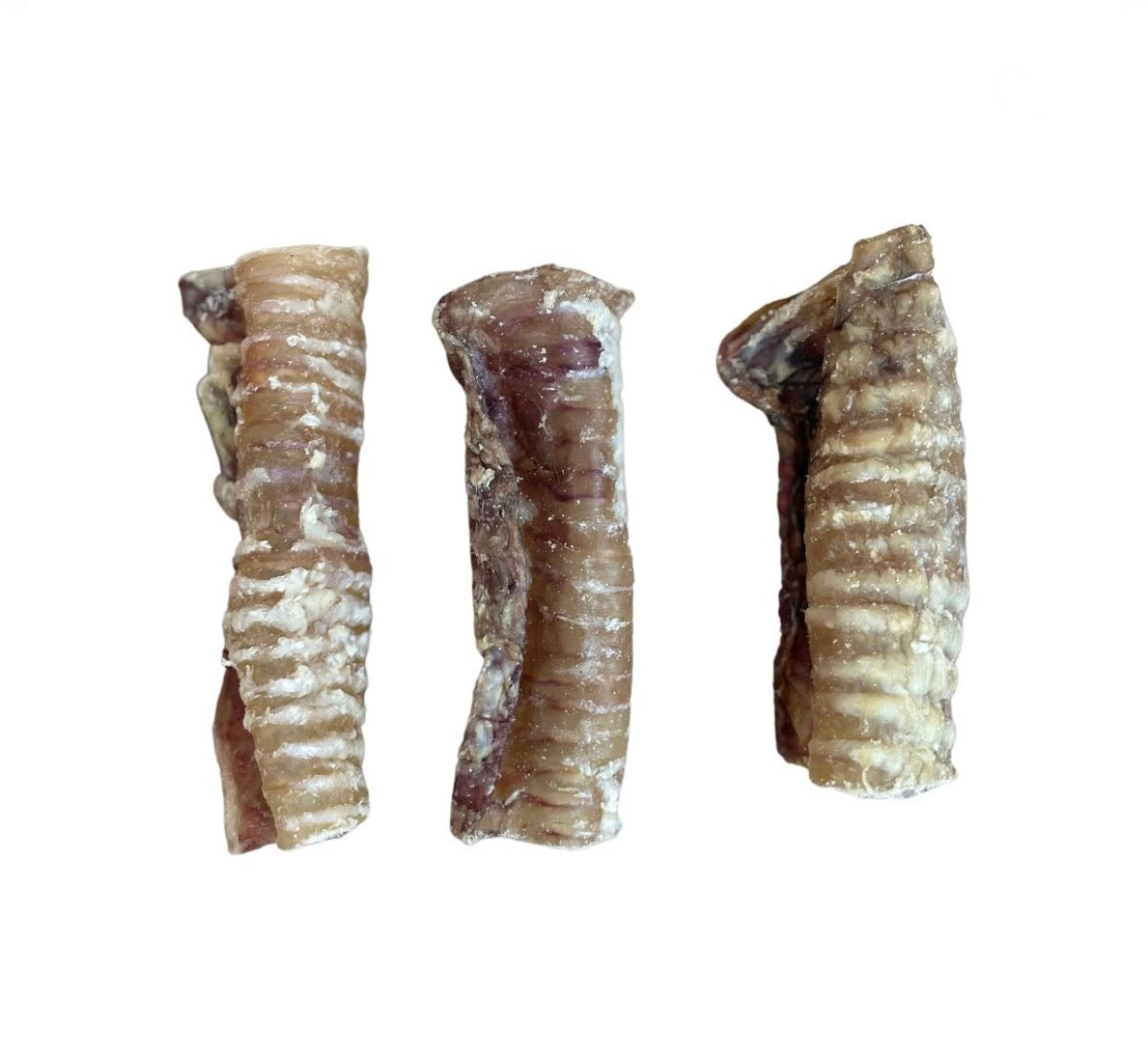 Beef Trachea 12cm