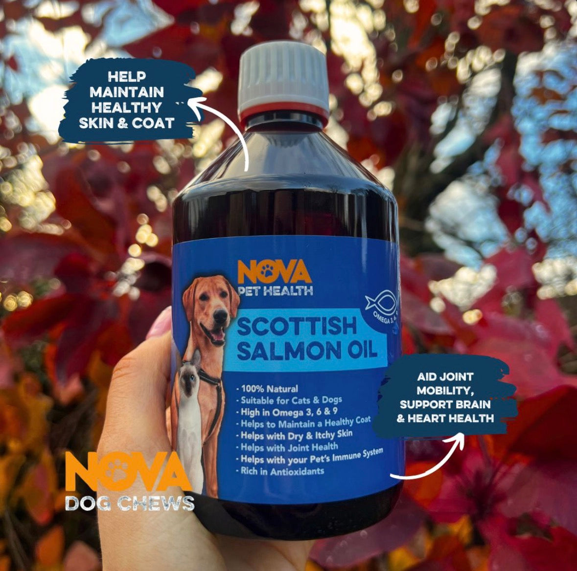 Scottish Salmon Oil 500ml