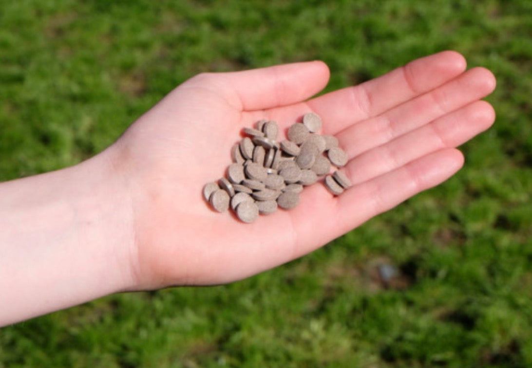 Barker & Barker Little Liver Treats