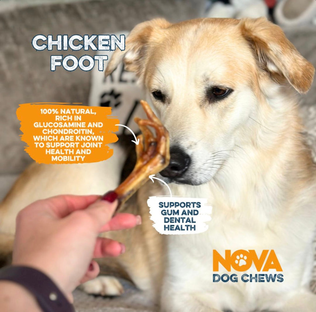 Chicken Feet