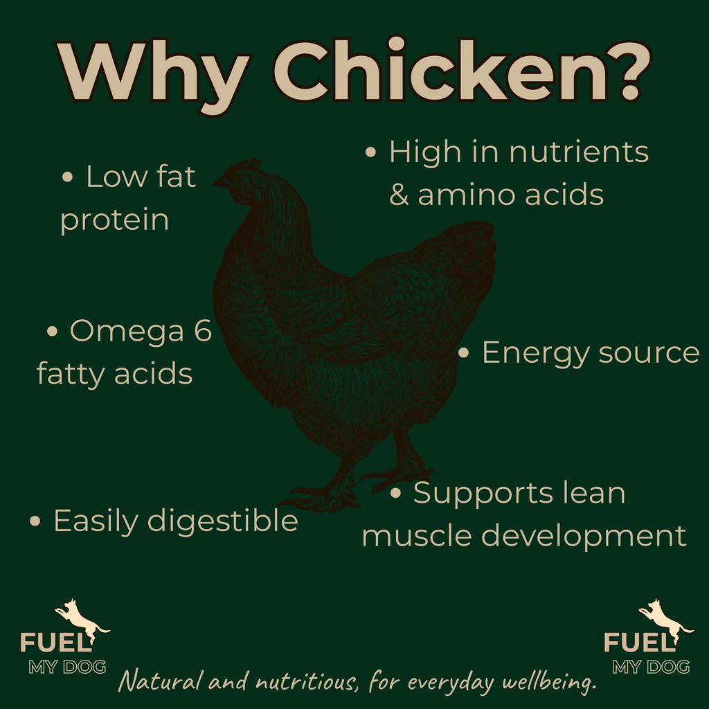 The Good Bowl Range - The Chicken Bowl