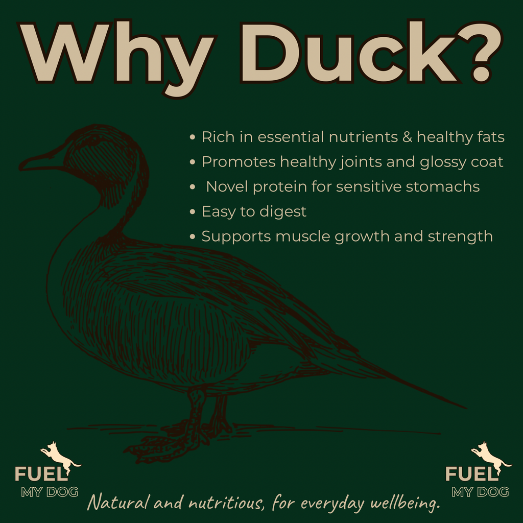 The Good Bowl Range - The Duck Bowl