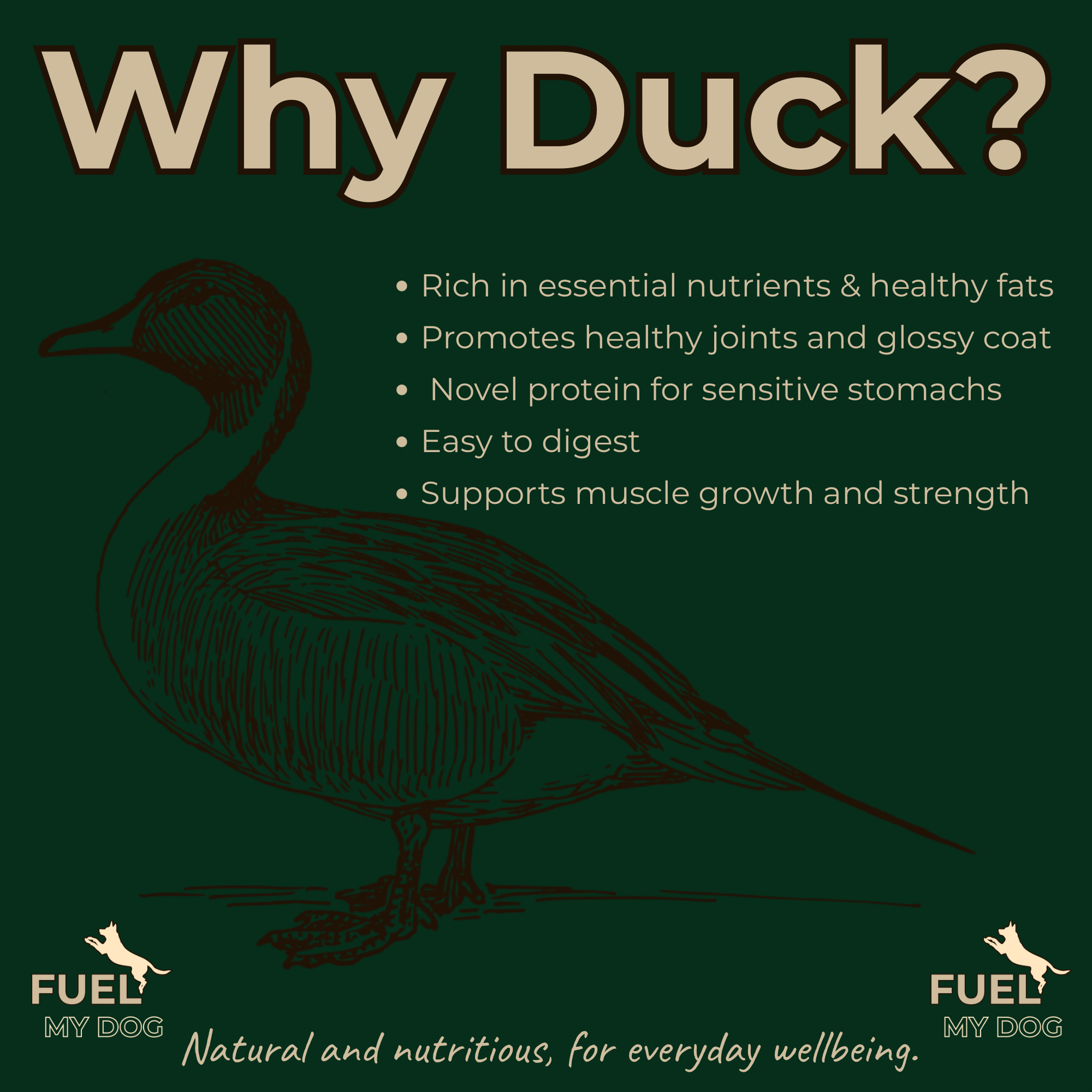 The Good Bowl Range - The Duck Bowl