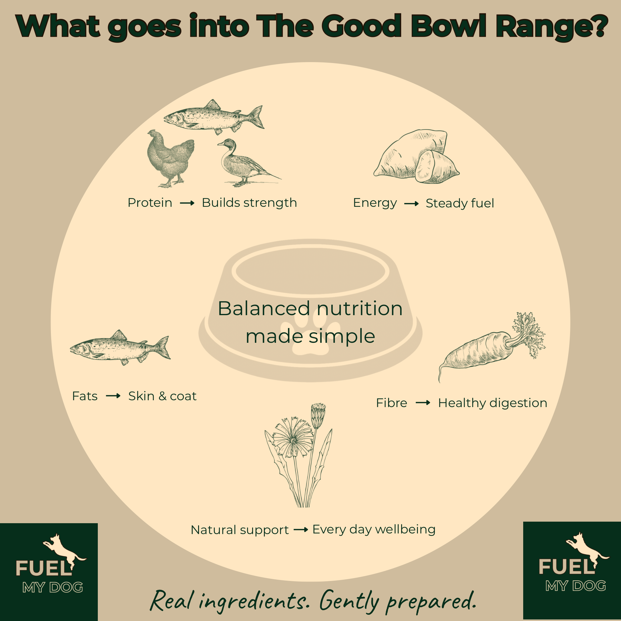 The Good Bowl Range - The Duck Bowl