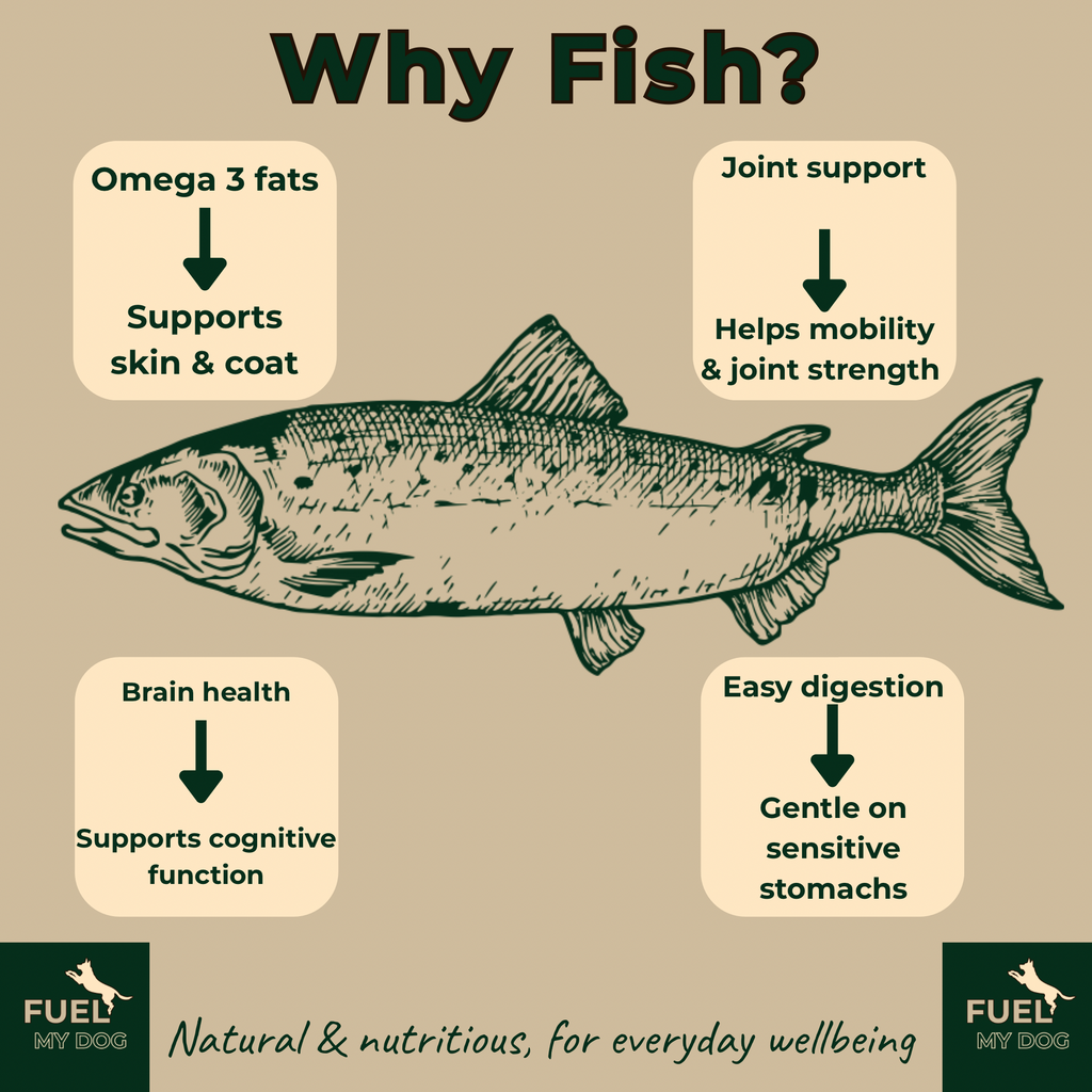 The Good Bowl Range - The Fish Bowl